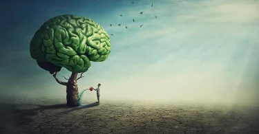 steps to improve your mindset